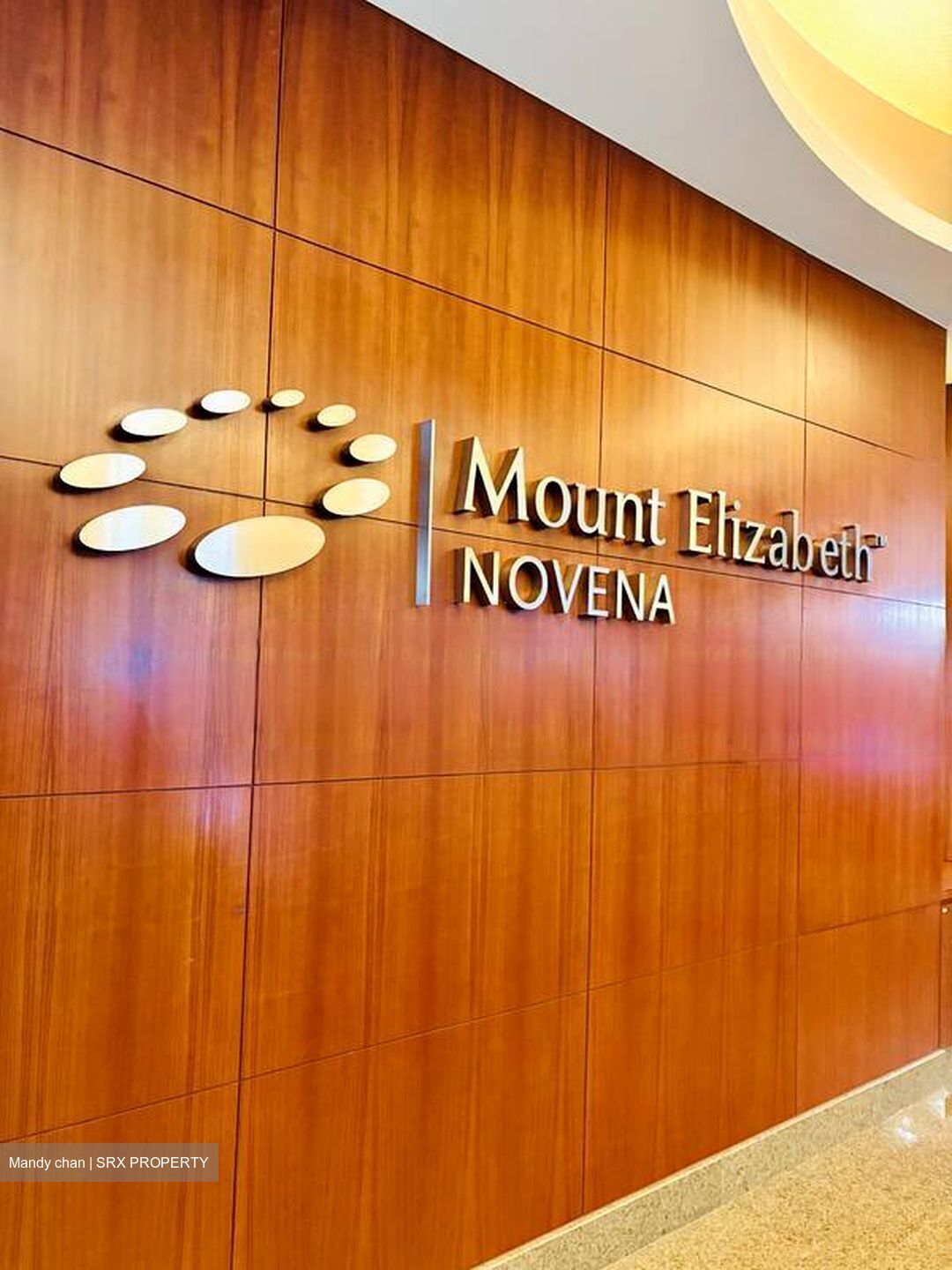 Mount Elizabeth Novena Hospital (D12), Retail #485058301